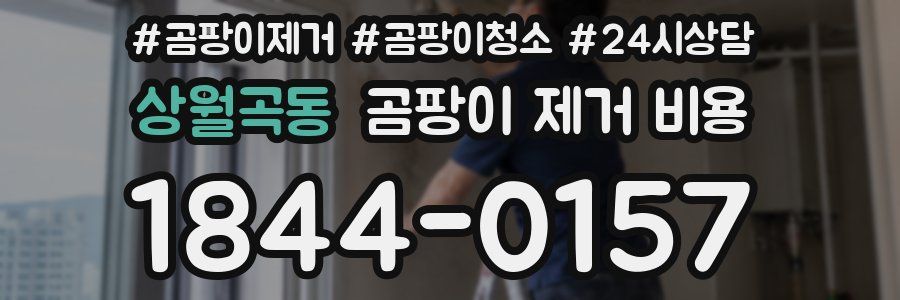상월곡동 곰팡이 제거 비용