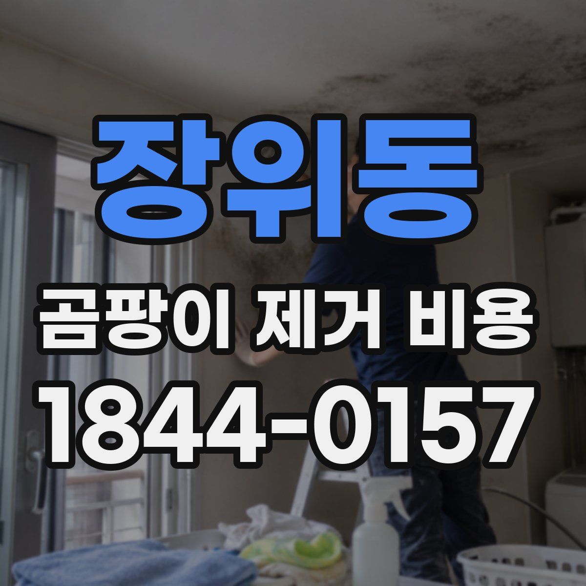 장위동 곰팡이 제거 비용