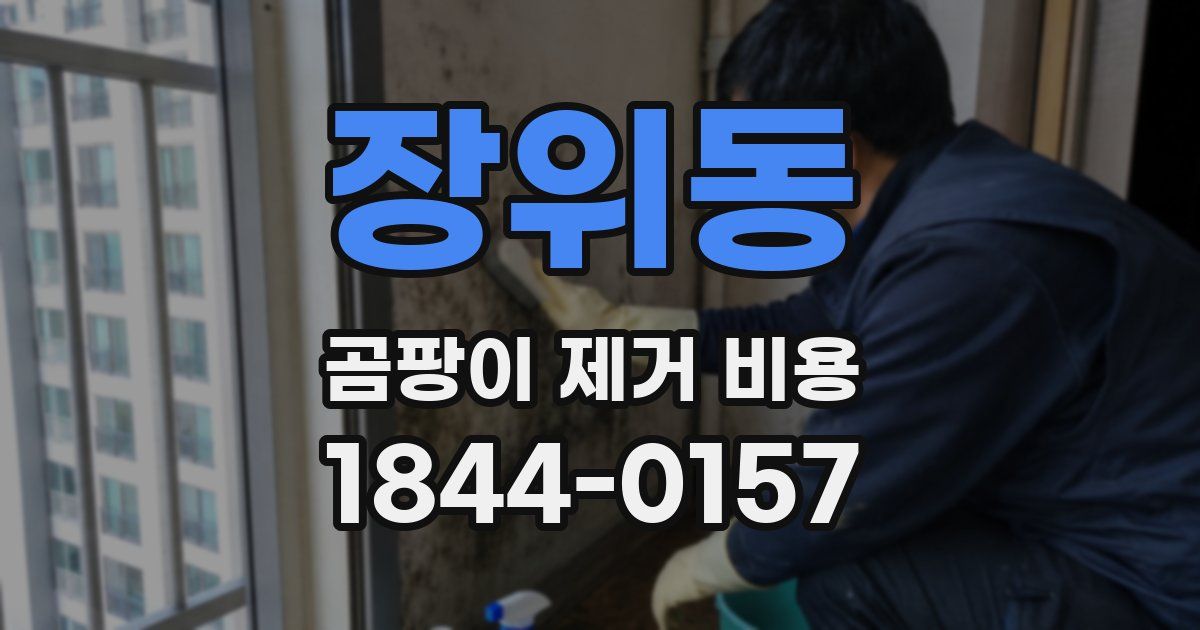 장위동 곰팡이 제거 비용