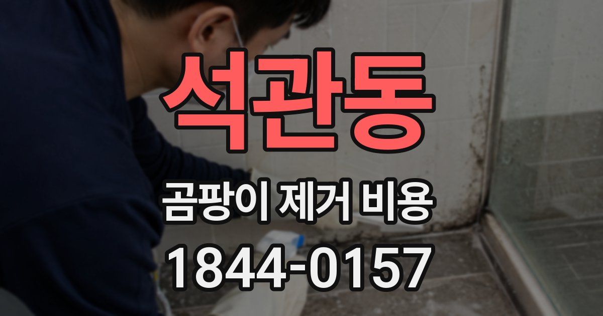 석관동 곰팡이 제거 비용