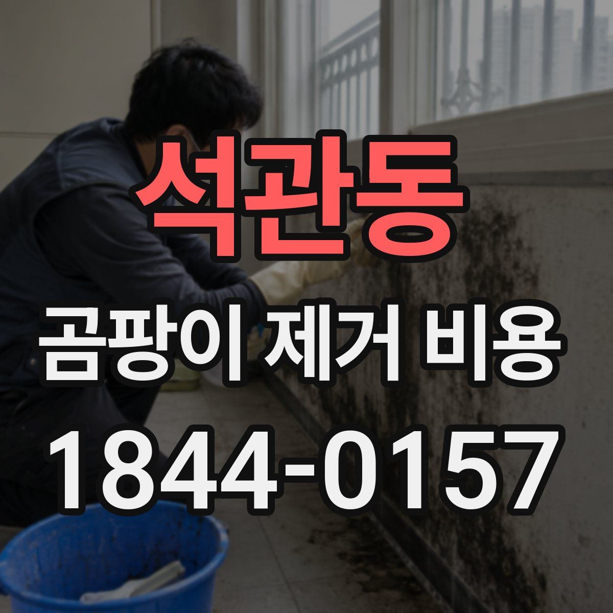 석관동 곰팡이 제거 비용