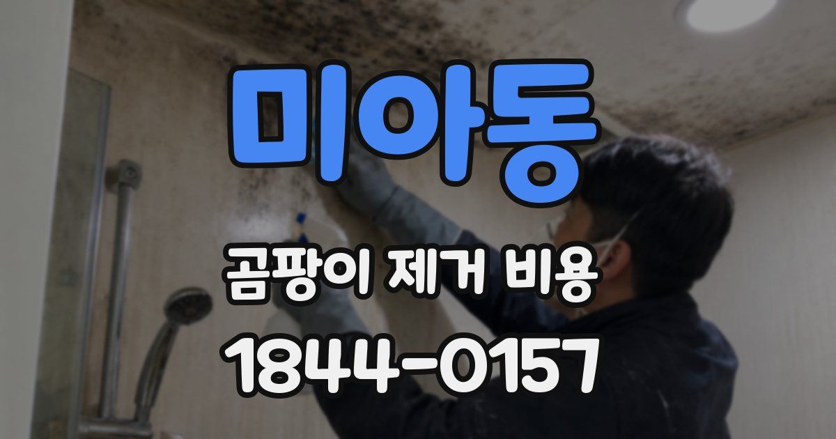 미아동 곰팡이 제거 비용