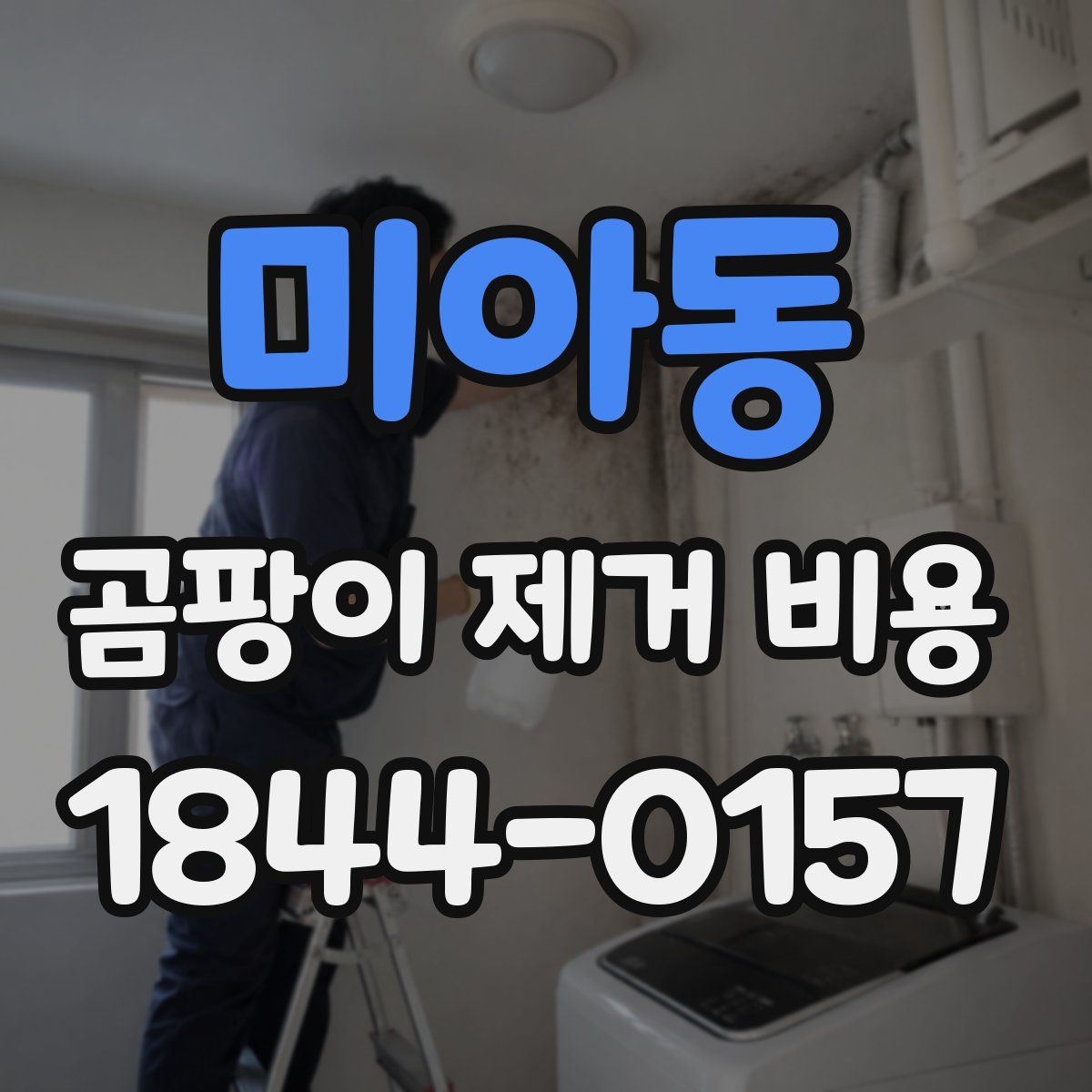미아동 곰팡이 제거 비용