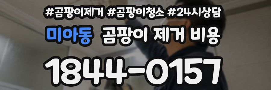 미아동 곰팡이 제거 비용