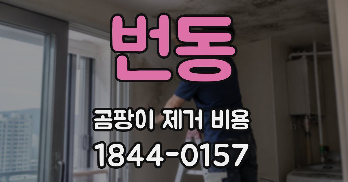 번동 곰팡이 제거 비용