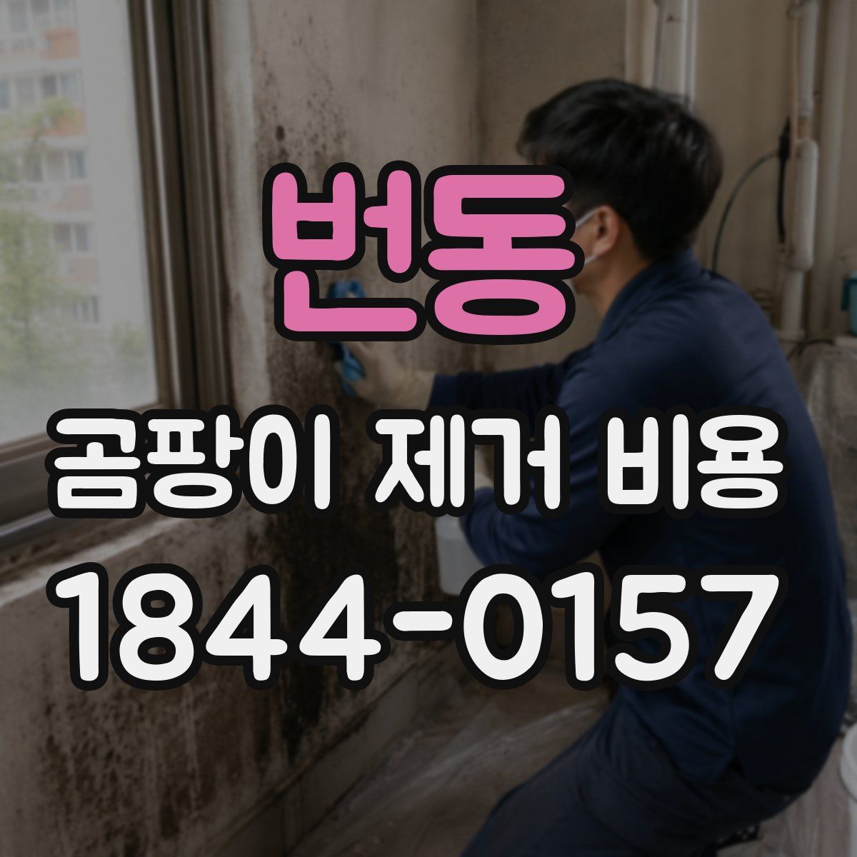 번동 곰팡이 제거 비용