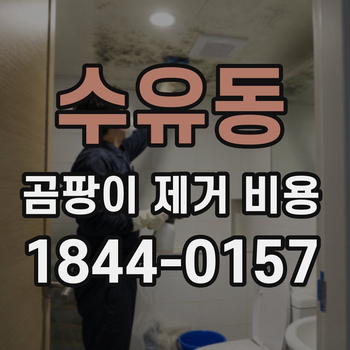 수유동 곰팡이 제거 비용 보험 적용 범위 확인을 먼저 확인해야 하는 이유