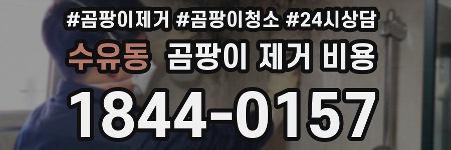 수유동 곰팡이 제거 비용