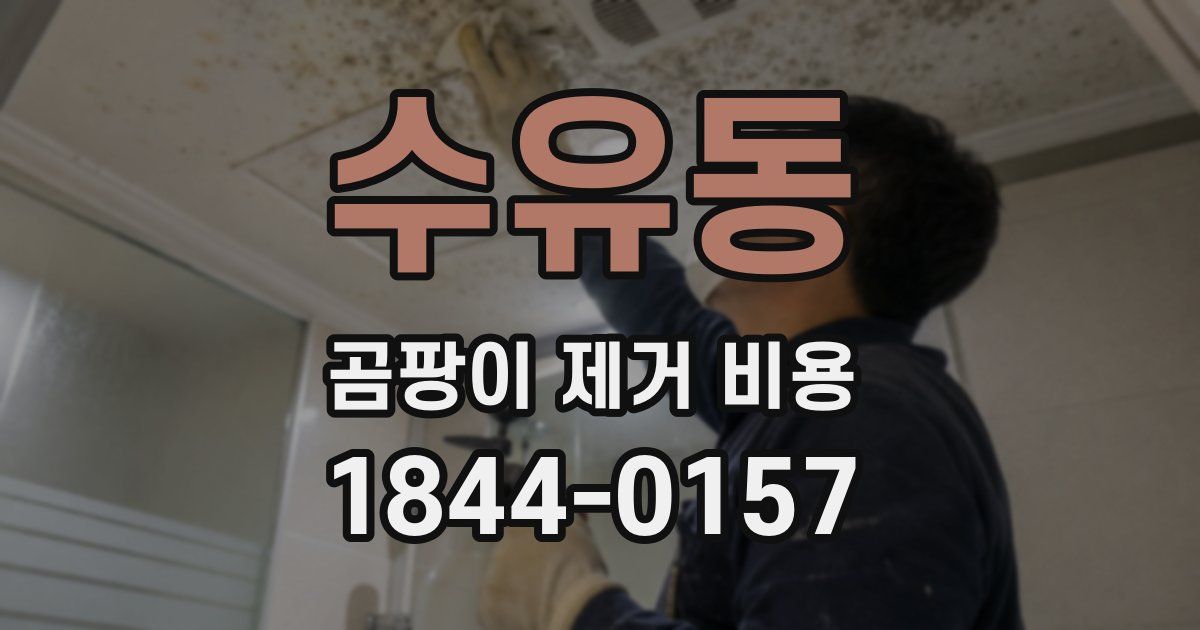 수유동 곰팡이 제거 비용