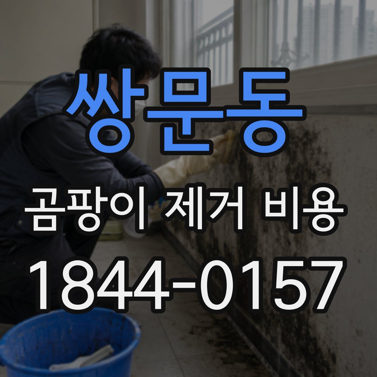 쌍문동 곰팡이 제거 비용
