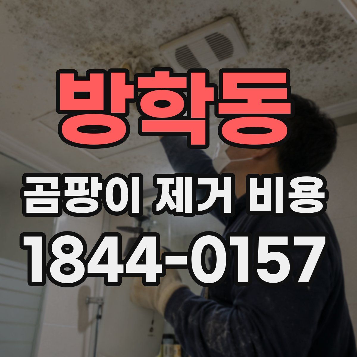 방학동 곰팡이 제거 비용