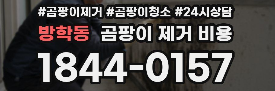 방학동 곰팡이 제거 비용
