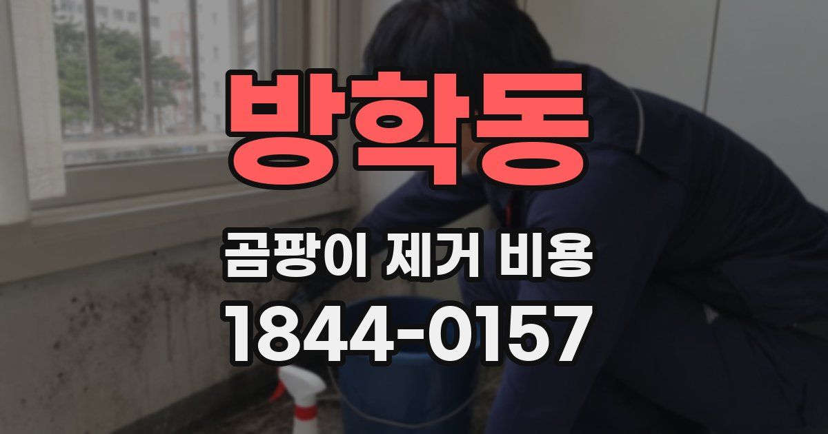 방학동 곰팡이 제거 비용