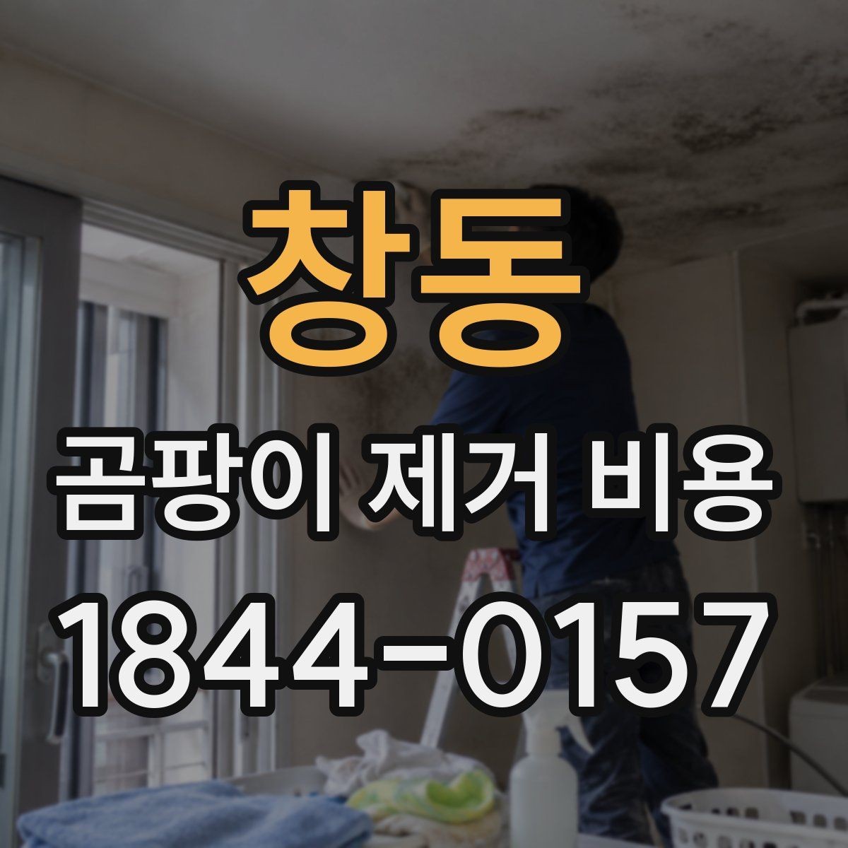 창동 곰팡이 제거 비용 냄새와 얼룩을 함께 잡는 처리 범위