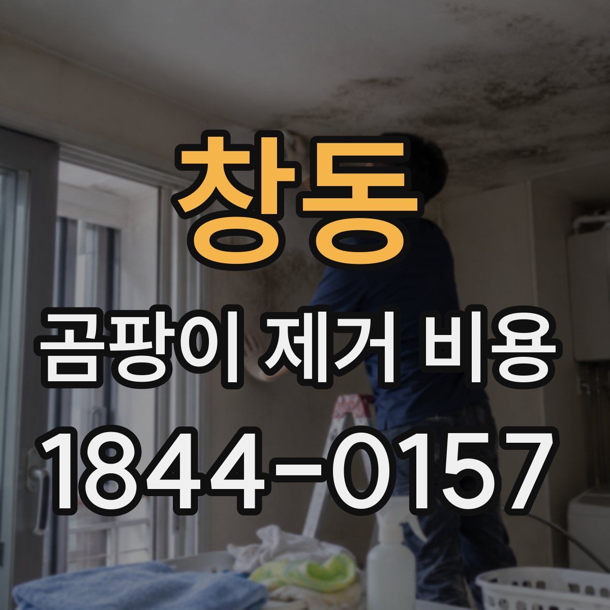 창동 곰팡이 제거 비용