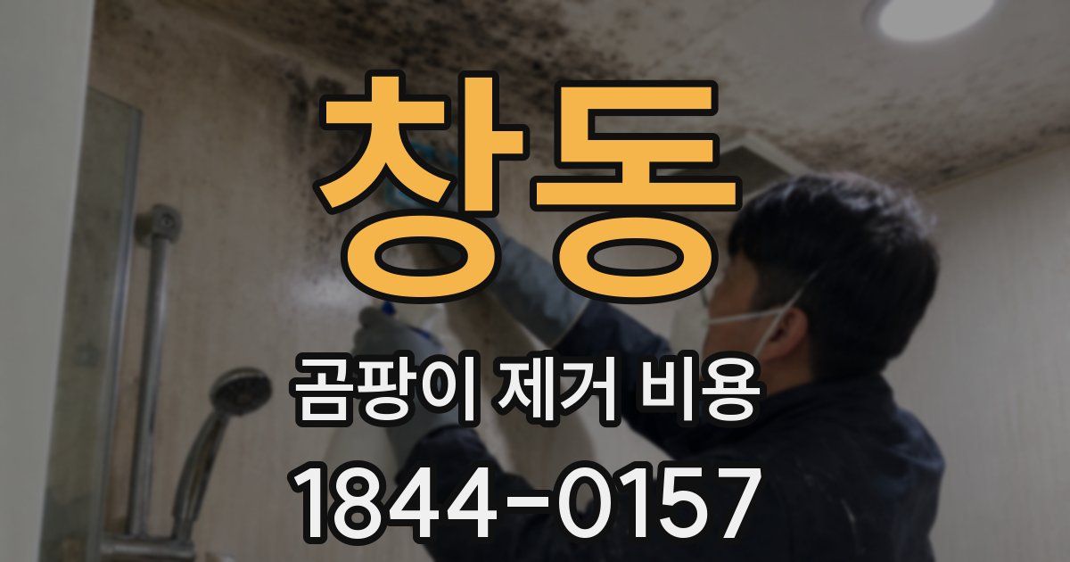 창동 곰팡이 제거 비용