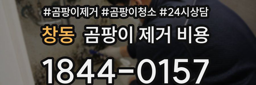 창동 곰팡이 제거 비용