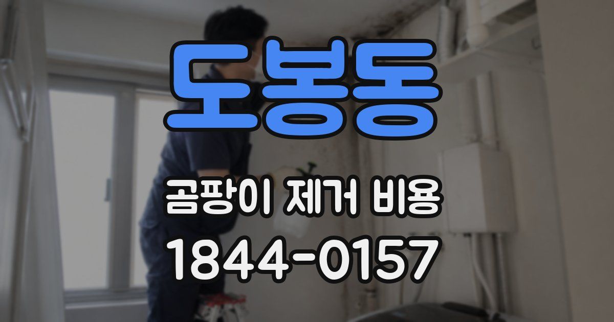 도봉동 곰팡이 제거 비용