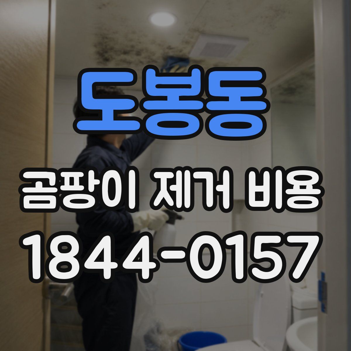 도봉동 곰팡이 제거 비용