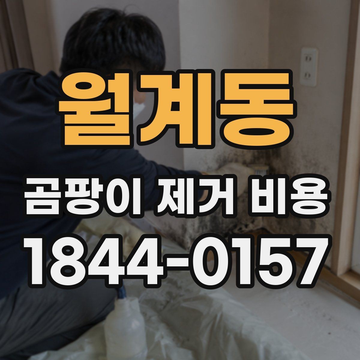 월계동 곰팡이 제거 비용 항균 코팅이 필요한 집의 특징
