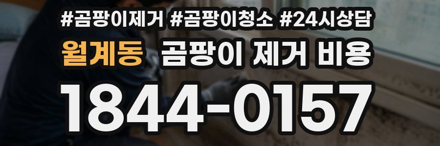 월계동 곰팡이 제거 비용