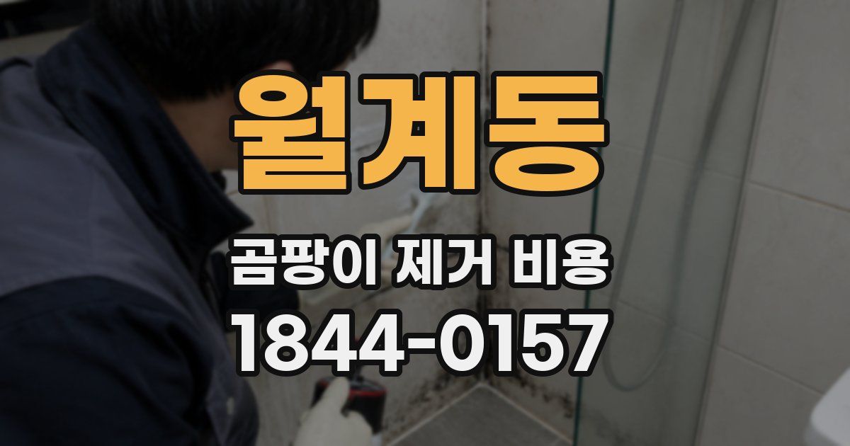 월계동 곰팡이 제거 비용