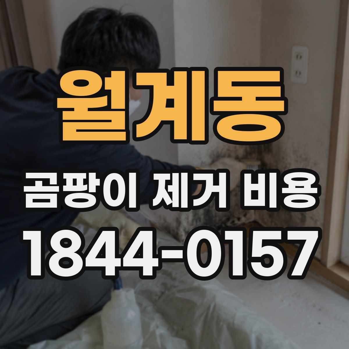 월계동 곰팡이 제거 비용