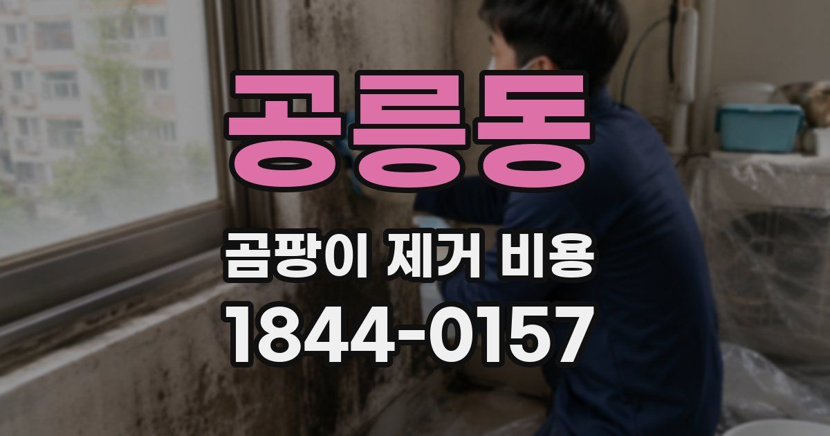 공릉동 곰팡이 제거 비용
