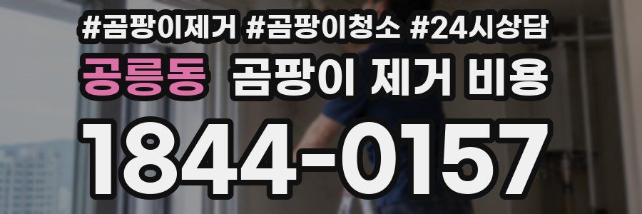 공릉동 곰팡이 제거 비용