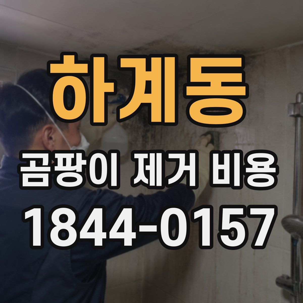 하계동 곰팡이 제거 비용