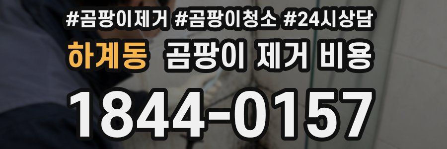 하계동 곰팡이 제거 비용