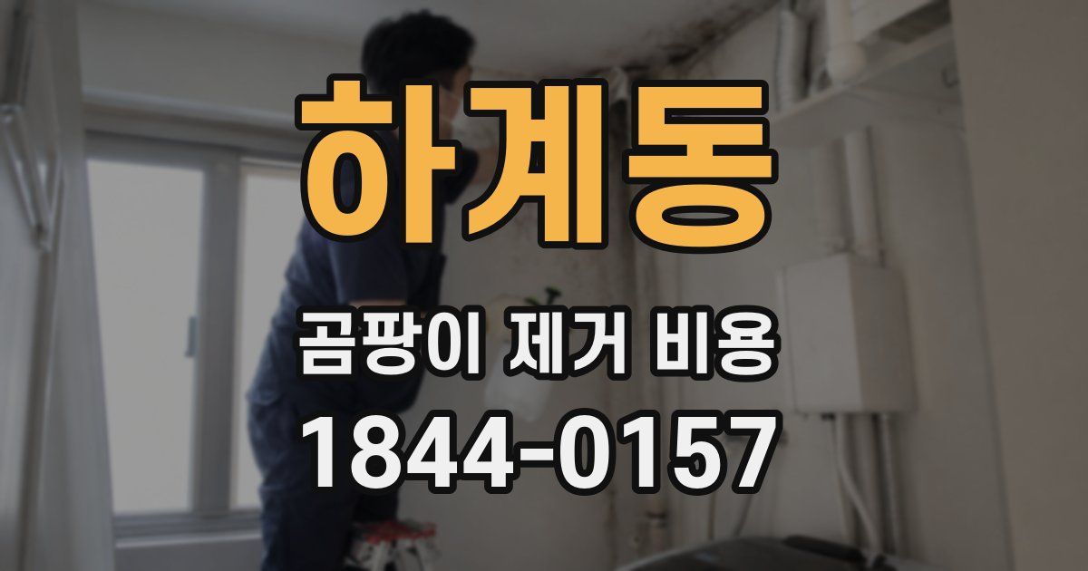 하계동 곰팡이 제거 비용