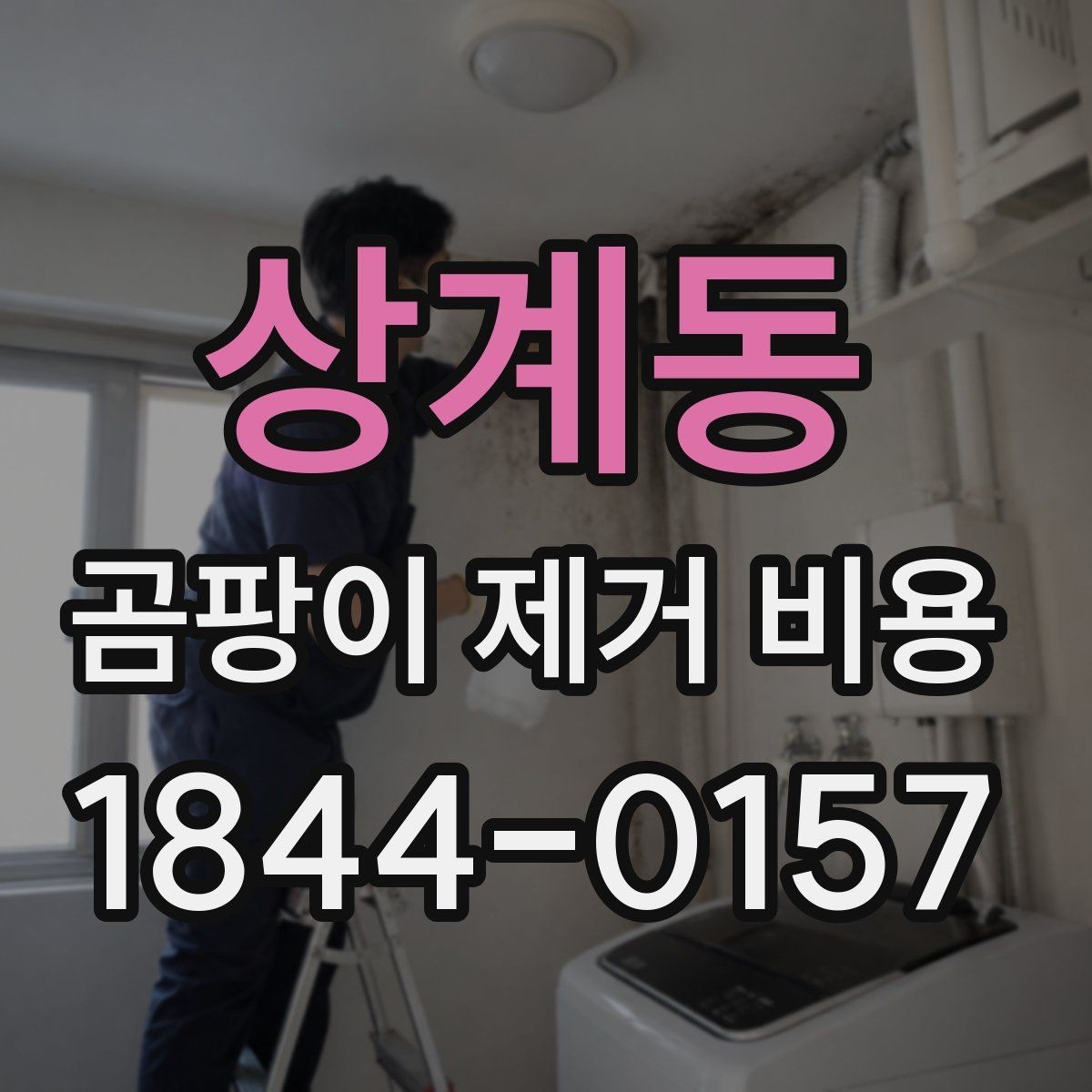 상계동 곰팡이 제거 비용 벽지와 천장 시공별 차이 살펴보기