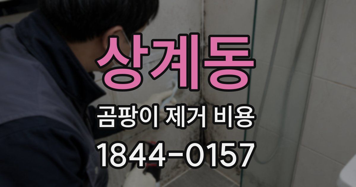 상계동 곰팡이 제거 비용