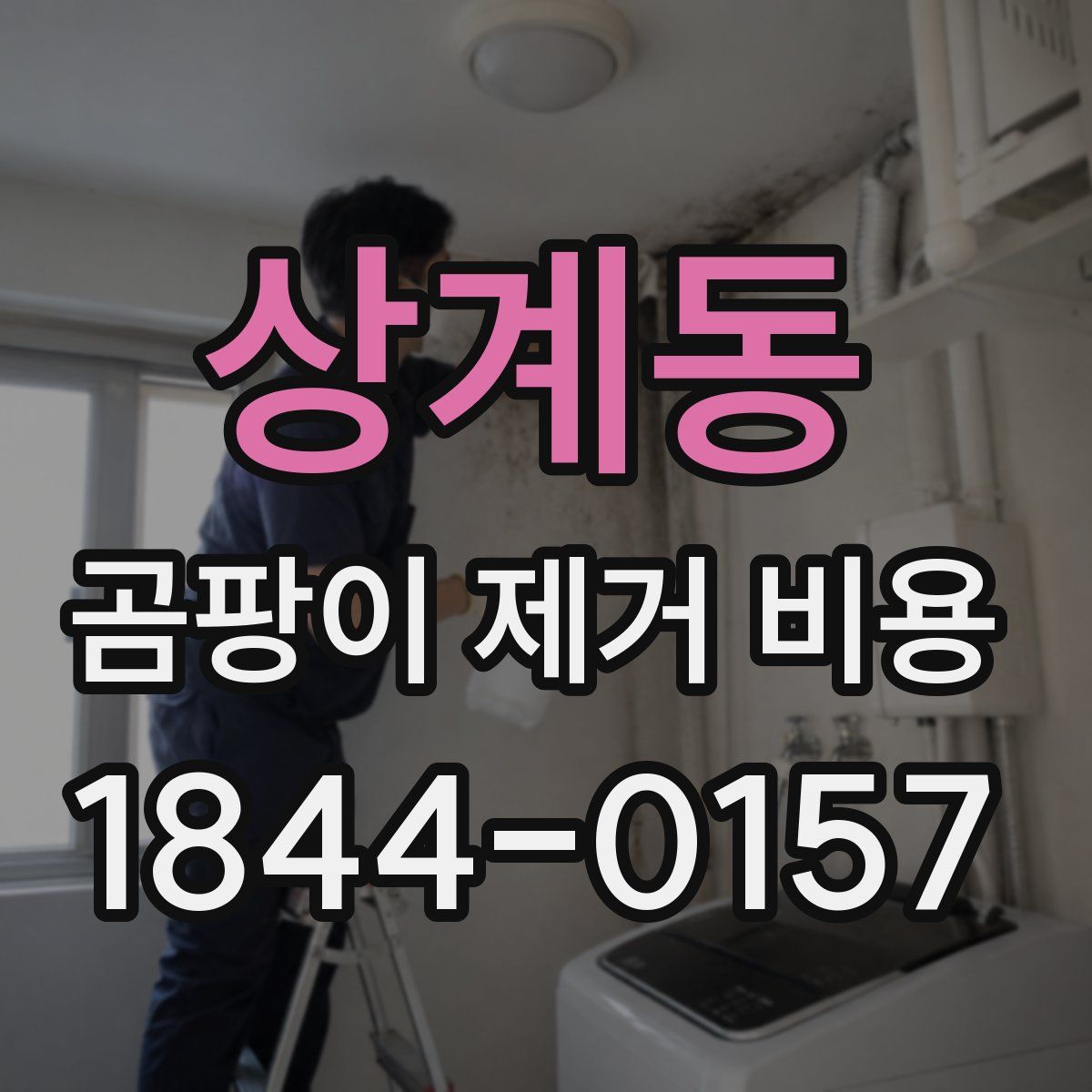 상계동 곰팡이 제거 비용