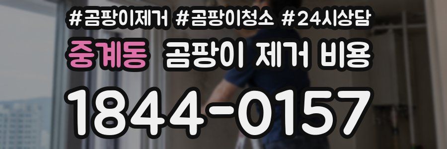 중계동 곰팡이 제거 비용