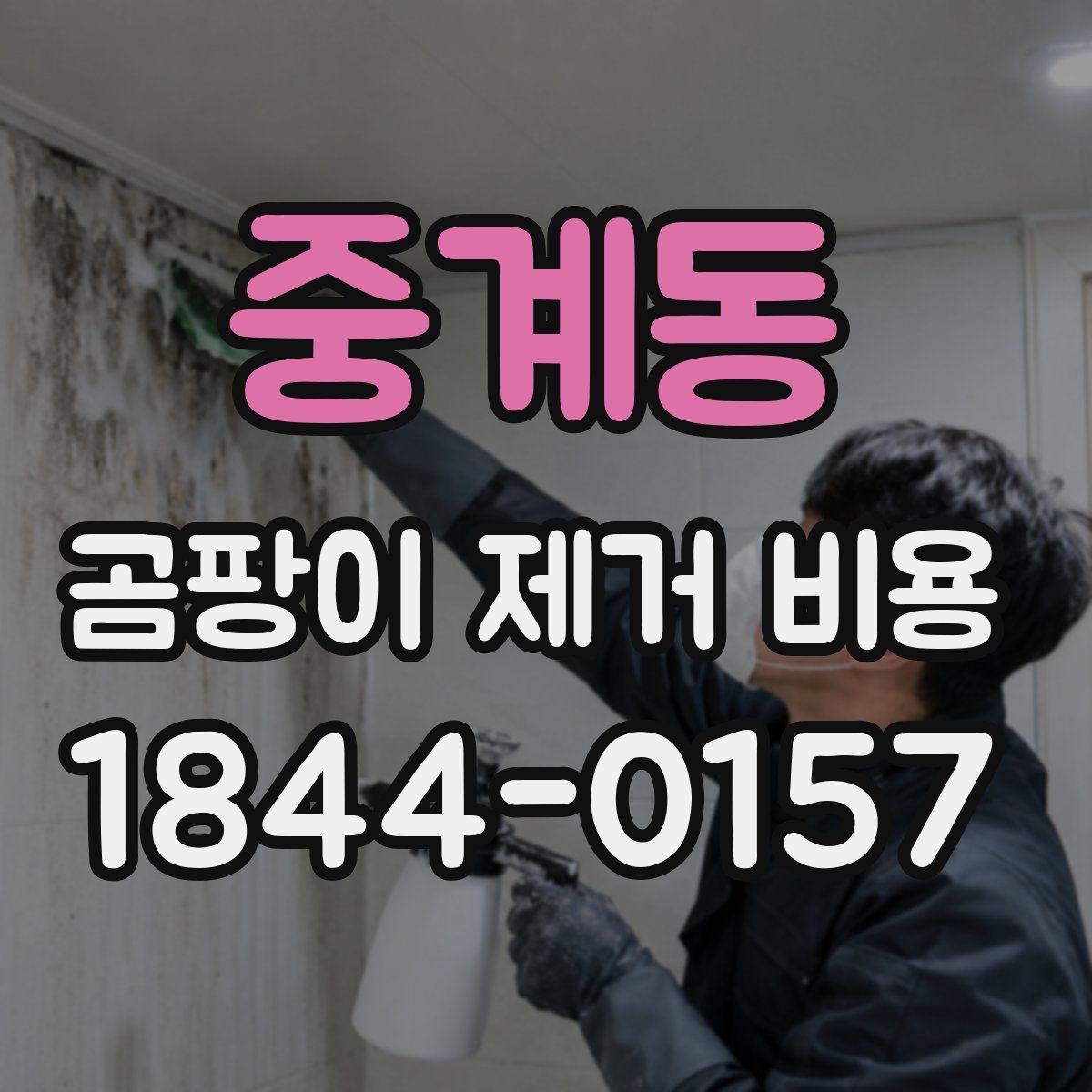 중계동 곰팡이 제거 비용