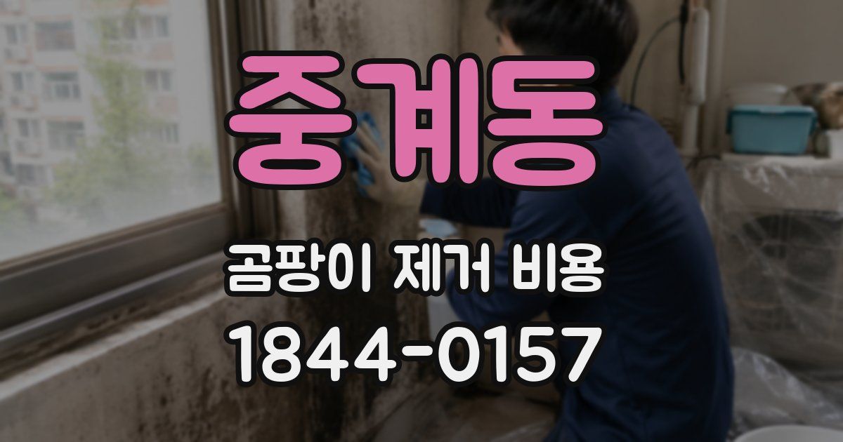 중계동 곰팡이 제거 비용