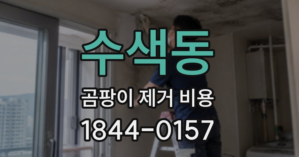 수색동 곰팡이 제거 비용
