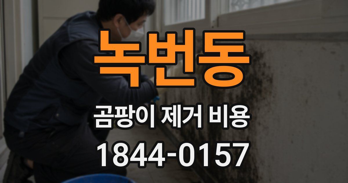 녹번동 곰팡이 제거 비용