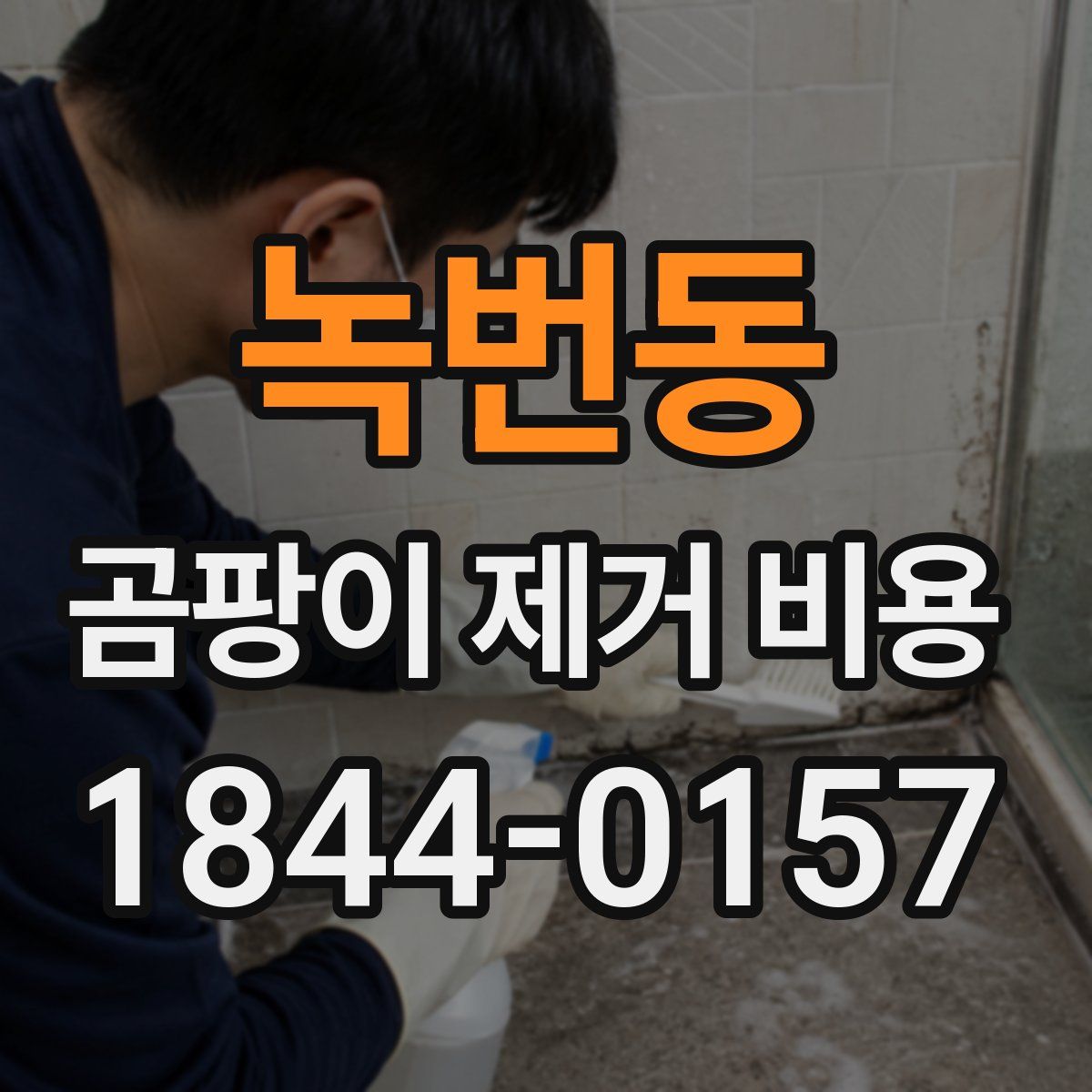 녹번동 곰팡이 제거 비용