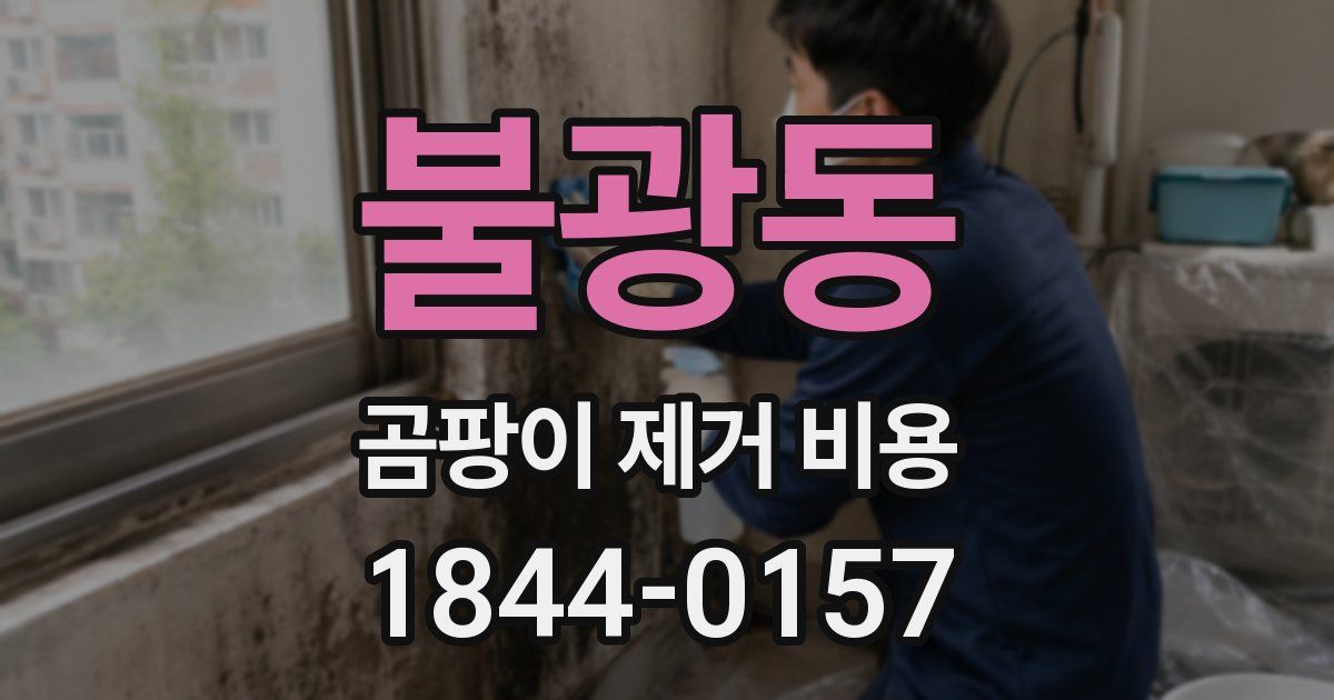 불광동 곰팡이 제거 비용