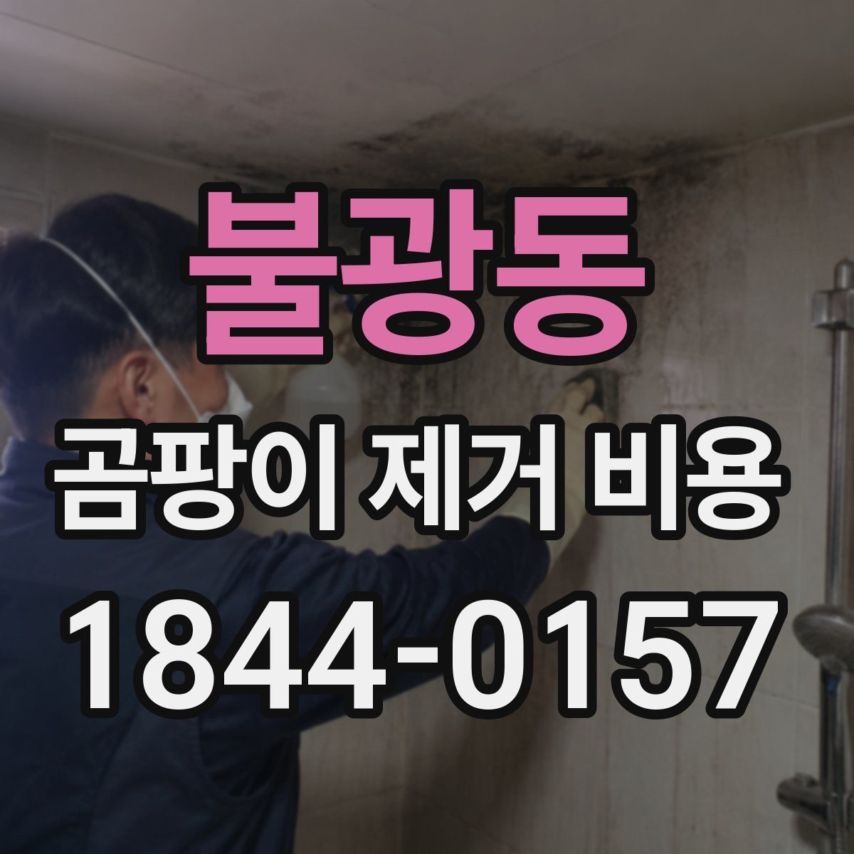 불광동 곰팡이 제거 비용
