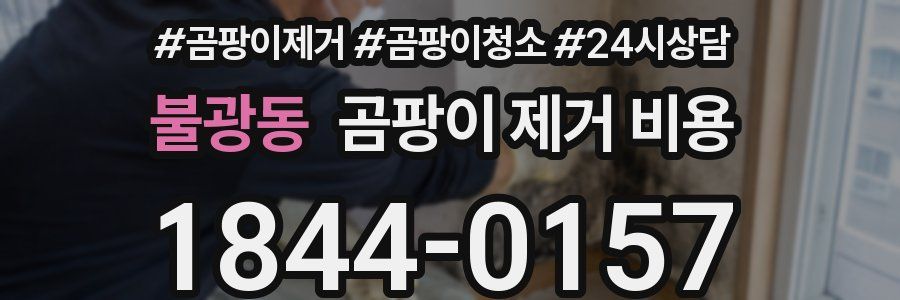 불광동 곰팡이 제거 비용