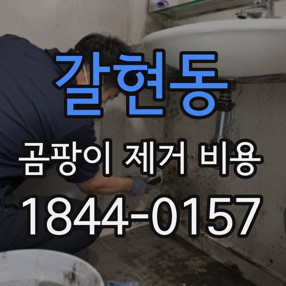갈현동 곰팡이 제거 비용