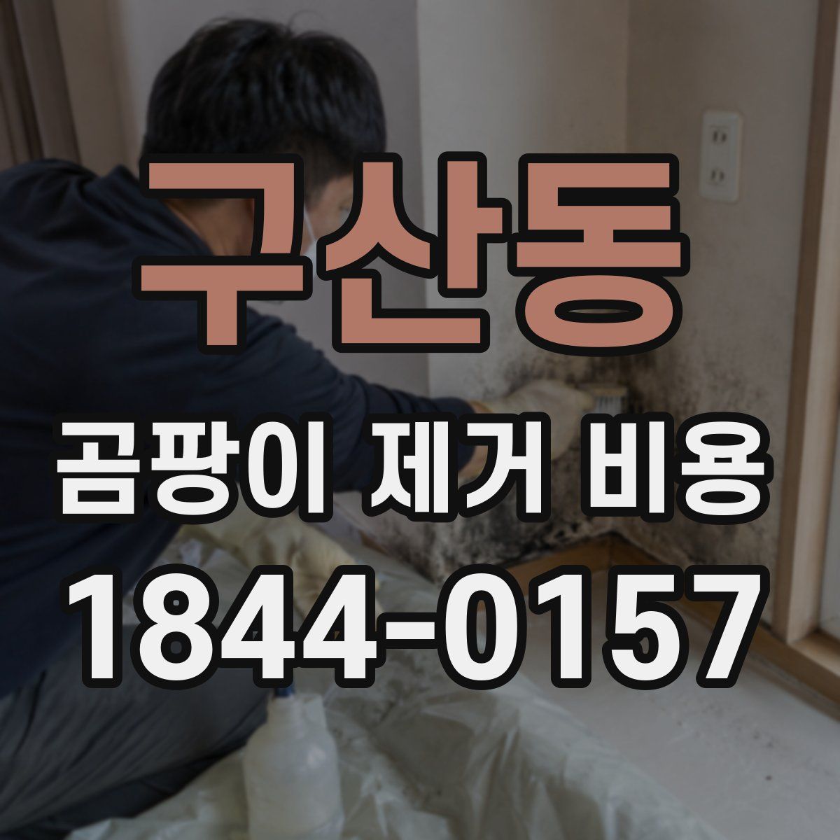 구산동 곰팡이 제거 비용