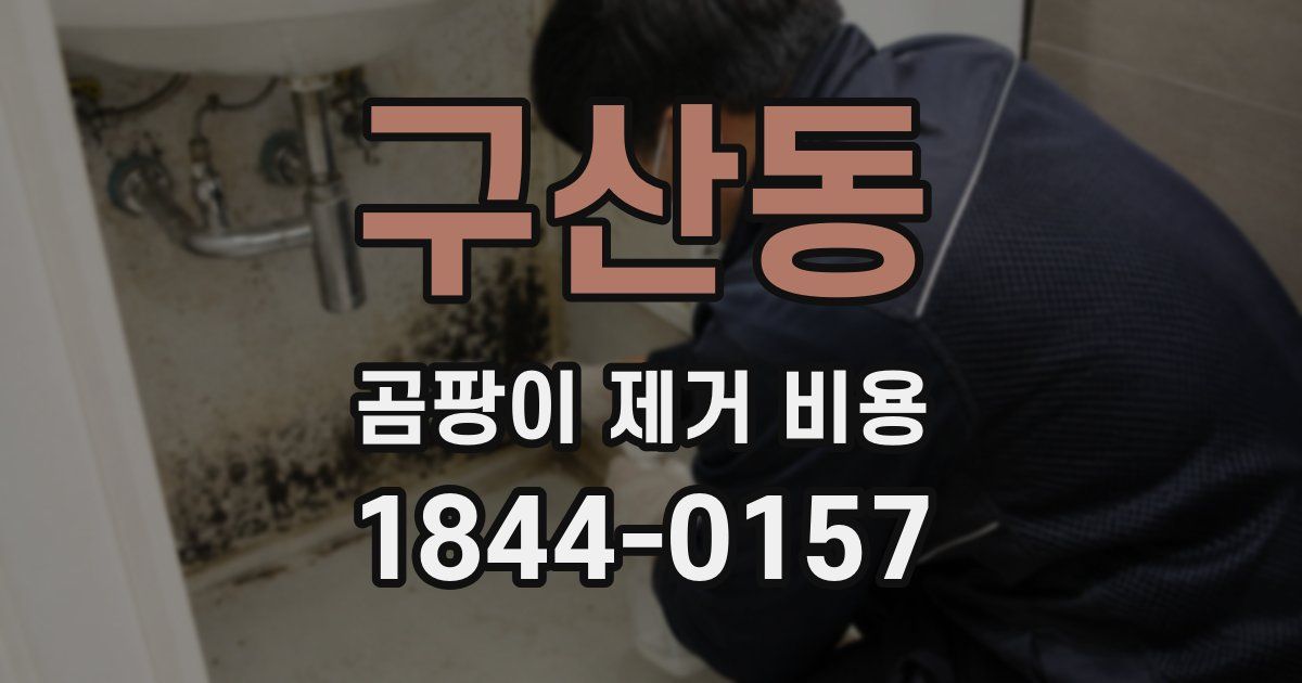 구산동 곰팡이 제거 비용