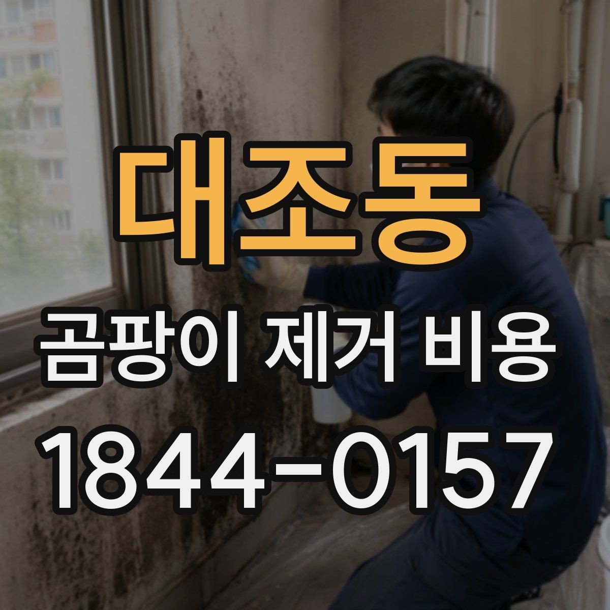 대조동 곰팡이 제거 비용 누수 흔적이 있으면 달라지는 항목