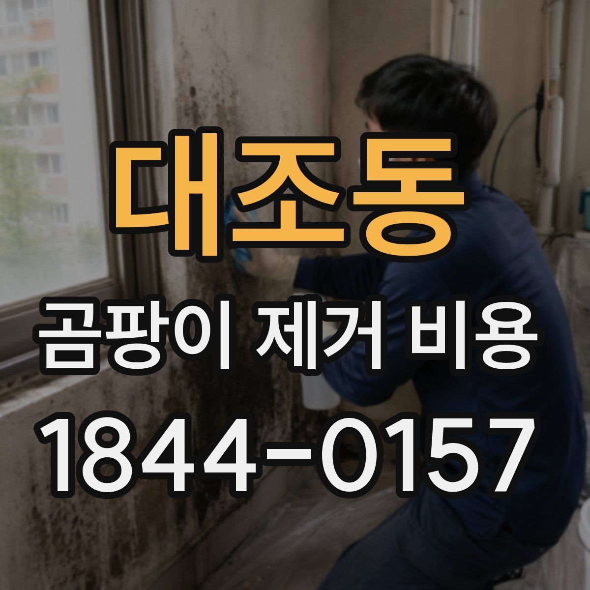 대조동 곰팡이 제거 비용