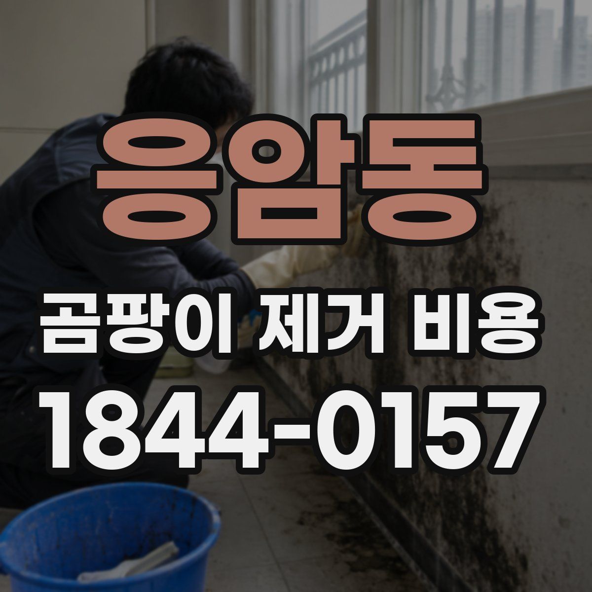 응암동 곰팡이 제거 비용